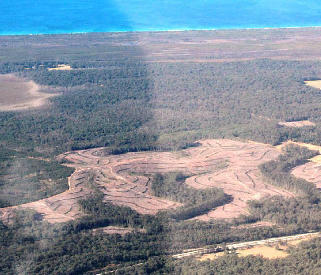 THE GREEN VOTE: Nationals’ Coffs Harbour MP Andrew Fraser and Clarence Valley MP Chris Gulaptis have slammed Labor over its koala park plan. THE GREEN VOTE: Nationals’ Coffs Harbour MP Andrew Fraser and Clarence Valley MP Chris Gulaptis have slammed Labor over its koala park plan.